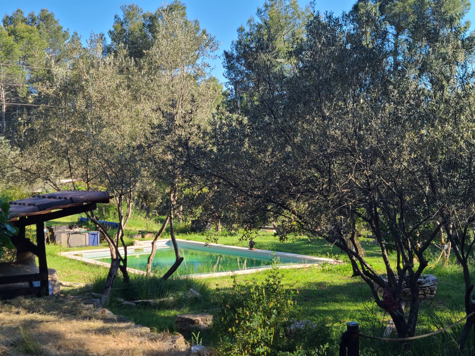 WhatsApp Image 2025 05 01 à 17.50.36 f6461536